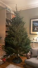 The 2023 Poncetastic Christmas Thread