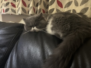 Worn out!