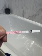 10dp5dt BFP or indication of chemical?