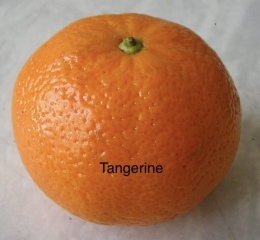 I have solved the small orange problem