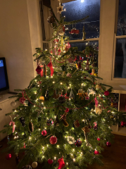 The ultimate SHOW US YOUR TREE megathread!