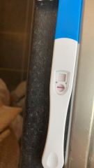What is this?