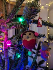 The ultimate SHOW US YOUR TREE megathread!