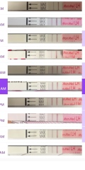Help: from these LH tests would you say I am ovulating?