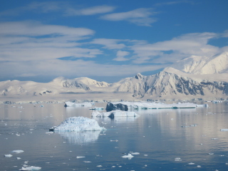 I REALLY want to go to Antarctica. Has anyone here been?