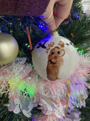 Post a pic of your most random tree decoration...