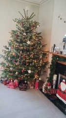 Can I see your Christmas tree?