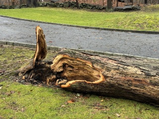 Come and tell me your dull and unexciting news 27: Calmly through the day