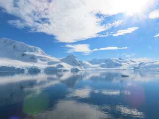 I REALLY want to go to Antarctica. Has anyone here been?