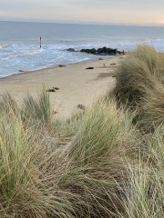 Come and tell me your dull and unexciting news 28: Calmly through the day