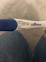Do all of the clear blue early test show a bfp after they have dried?