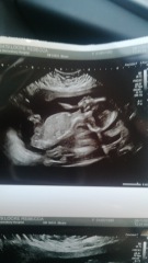 Nub theory prediction wrong?