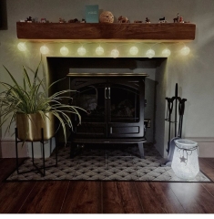 Electric fire