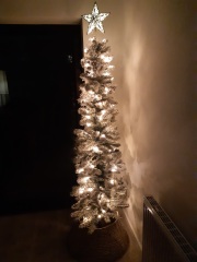 Can I see your Christmas tree?