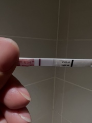 AM I GOING CRAZY…. vvfl 11/12dpo? Line eyes!!