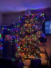 Can I see your Christmas tree?
