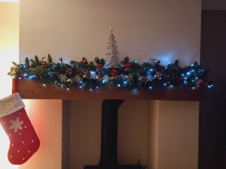 Can I see your Christmas tree?