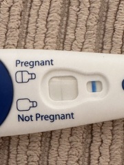 Clear blue test. Evap line or positive