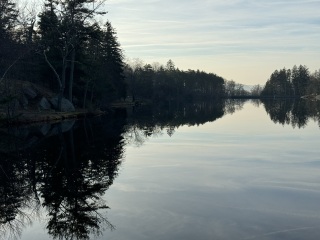 Come and tell me your dull and unexciting news 27: Calmly through the day