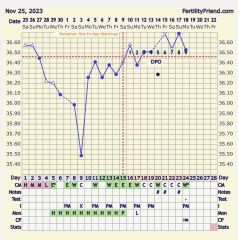 9dpo opinions please!