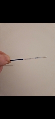 Early pregnancy test