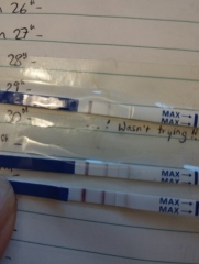 TTC May 2023 💖 Previous MC March 2023 (thread 2)