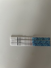 Am I failing to ovulate while breastfeeding? PICS OF TESTS