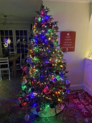 Can I see your Christmas tree?