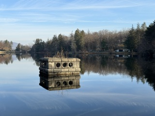 Come and tell me your dull and unexciting news 27: Calmly through the day