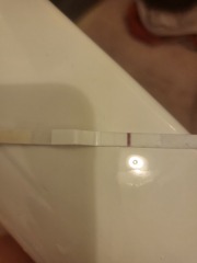 2ww second month ttc