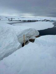 Ukraine Invasion: Part 46