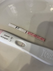 TTC after early miscarriage