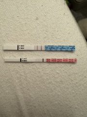 BBTing our way to a BFP in September 🎉 cont.