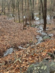 Come and tell me your dull and unexciting news 27: Calmly through the day