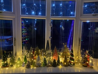 Can I see your Christmas tree?