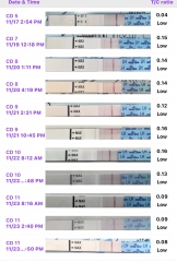 Please can someone explain weird LH results?