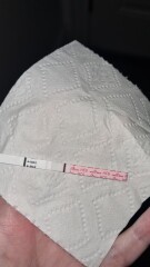 Early pregnancy test