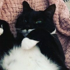 The Great Recovery! After cancer what next?