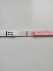 11 dpo vvfl line help
