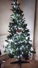 Can I see your Christmas tree?