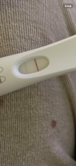 PLEASE HELP … is this positive or an Evap???