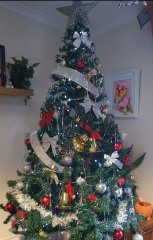 Can I see your Christmas tree?