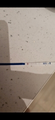 Early pregnancy test