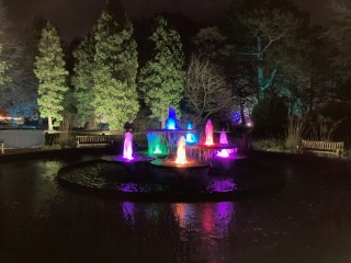 The Great Recovery! After cancer what next?