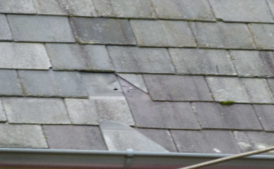 Slipped slates after 8 years - would this worry you?