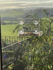 Dummy's guide to bird feeders/bird baths