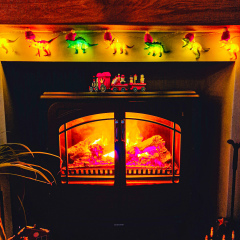 Electric fire