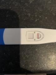 What is this?
