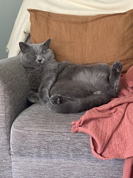 Thread 12 - TalkLair: “I say we take off and nuke the entire site from orbit. It's the only way to be sure.”