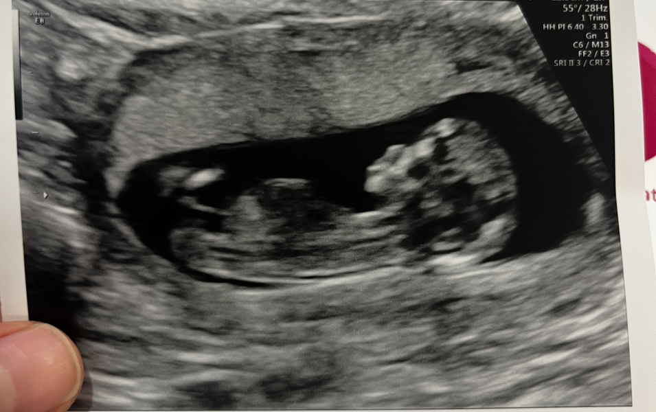 POAS come on you rainbows